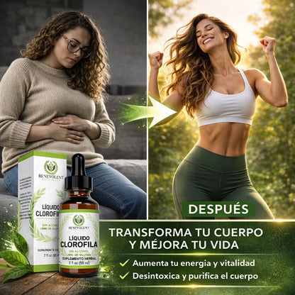 🌿 Desinflama Tu Cuerpo Desde Adentro